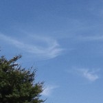 鳳凰