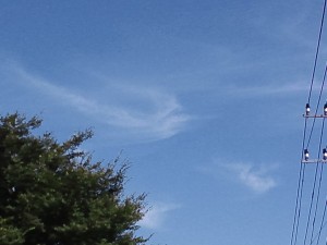鳳凰