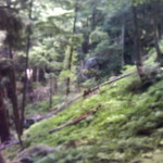 P1000192