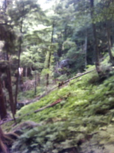 P1000192