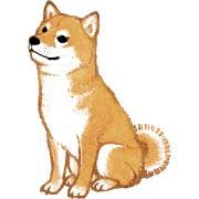 犬